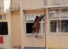 Viral video: ਔਰਤ ਨੇ ਬਿਨਾਂ ਡਰ ਤੋਂ ਕੀਤੀ 'ਦੀਵਾਲੀ ਦੀ ਸਫਾਈ', ਸਟੰਟ ਹੋਇਆ ਵਾਇਰਲ Viral video: ਔਰਤ ਨੇ ਬਿਨਾਂ ਡਰ ਤੋਂ ਕੀਤੀ 'ਦੀਵਾਲੀ ਦੀ ਸਫਾਈ', ਸਟੰਟ ਹੋਇਆ ਵਾਇਰਲ