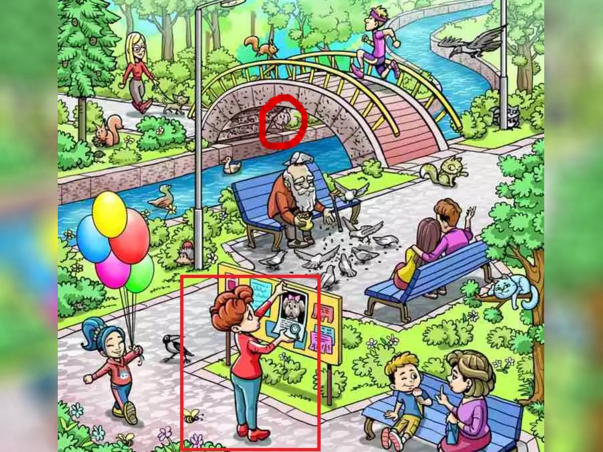 Find The Object Puzzle, Spot The Object Puzzle, Spot The Object In Picture, Viral Optical Illusion, Find the lost pet dog of lady, optical illusion test, Spot The pet dog, Find The Pet Dog, Viral On Internet