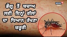 Dengue: ਡੇਂਗੂ ਤੋਂ ਬਚਾਅ ਲਈ ਵਰਤੋ ਇਹ ਸਾਵਧਾਨੀਆਂ, ਨਹੀਂ ਹੋਵੇਗਾ ਕੋਈ ਖਤਰਾ
