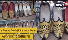 Amritsar: ਰਾਜੇ-ਮਹਾਰਾਜਿਆਂ ਦੀ ਇਸ ਖਾਸ ਪਸੰਦ ਦਾ ਆਖਿਰ ਕੀ ਹੈ ਇਤਿਹਾਸ! ਜਾਣੋ