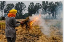 ਪੰਜਾਬ 'ਚ ਪਰਾਲੀ ਸਾੜਨ ਵਾਲੇ ਕਿਸਾਨਾਂ ਨੂੰ ਜੁਰਮਾਨਾ ਕੀਤਾ 75 ਲੱਖ, ਵਸੂਲੇ 37 ਹਜ਼ਾਰ ਪੰਜਾਬ 'ਚ ਪਰਾਲੀ ਸਾੜਨ ਵਾਲੇ ਕਿਸਾਨਾਂ ਨੂੰ ਜੁਰਮਾਨਾ ਕੀਤਾ 75 ਲੱਖ, ਵਸੂਲੇ 37 ਹਜ਼ਾਰ