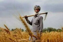 ਕਿਸਾਨਾਂ ਲਈ ਲਾਹੇਵੰਦ ਹੈ ਇਹ ਤਕਨੀਕ, ਇੱਕੋ ਸਮੇਂ 4 ਫਸਲਾਂ ਬੀਜ ਕੇ ਪਾਓ 5 ਗੁਣਾ ਲਾਭ