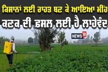 ਬਾਰਿਸ਼ ਨੇ ਕਿਸਾਨਾਂ ਦੇ ਚਿਹਰੇ 'ਤੇ ਲਿਆਂਦੀ ਖੁਸ਼ੀ, ਕਣਕ ਦੀ ਫ਼ਸਲ ਲਈ ਹੈ ਲਾਹੇਵੰਦ ਬਾਰਿਸ਼ ਨੇ ਕਿਸਾਨਾਂ ਦੇ ਚਿਹਰੇ 'ਤੇ ਲਿਆਂਦੀ ਖੁਸ਼ੀ, ਕਣਕ ਦੀ ਫ਼ਸਲ ਲਈ ਹੈ ਲਾਹੇਵੰਦ