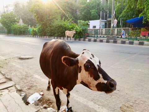 Farmers