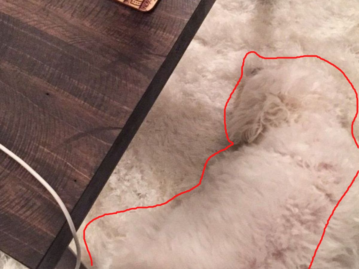 Optical illusion