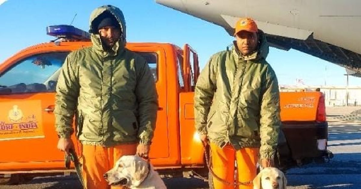 Turkey syria earthquake indias dog squad julie romeo honey rambo are