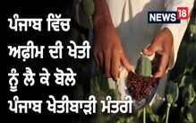 ਖੇਤੀਬਾੜੀ ਨੂੰ ਲਾਹੇਵੰਦ ਧੰਦਾ ਬਣਾਉਣ ਲਈ ਕੀਤੀ ਜਾ ਸਕਦੀ ਹੈ ਅਫੀਮ ਦੀ ਖੇਤੀ