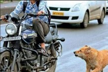 ਸਾਈਕਲ ਤੇ ਬਾਈਕ ਮਗਰ ਕਿਉਂ ਭੱਜਦੇ ਹਨ ਕੁੱਤੇ ? ਜਾਣੋ ਇਸ ਦੇ ਪਿੱਛੇ ਦਾ ਵਿਗਿਆਨਕ ਕਾਰਨ ਸਾਈਕਲ ਤੇ ਬਾਈਕ ਮਗਰ ਕਿਉਂ ਭੱਜਦੇ ਹਨ ਕੁੱਤੇ ? ਜਾਣੋ ਇਸ ਦੇ ਪਿੱਛੇ ਦਾ ਵਿਗਿਆਨਕ ਕਾਰਨ