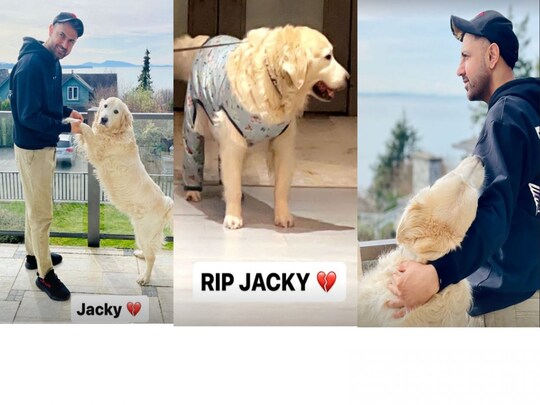 Punjabi Singer Gippy Grewal Dog jacky