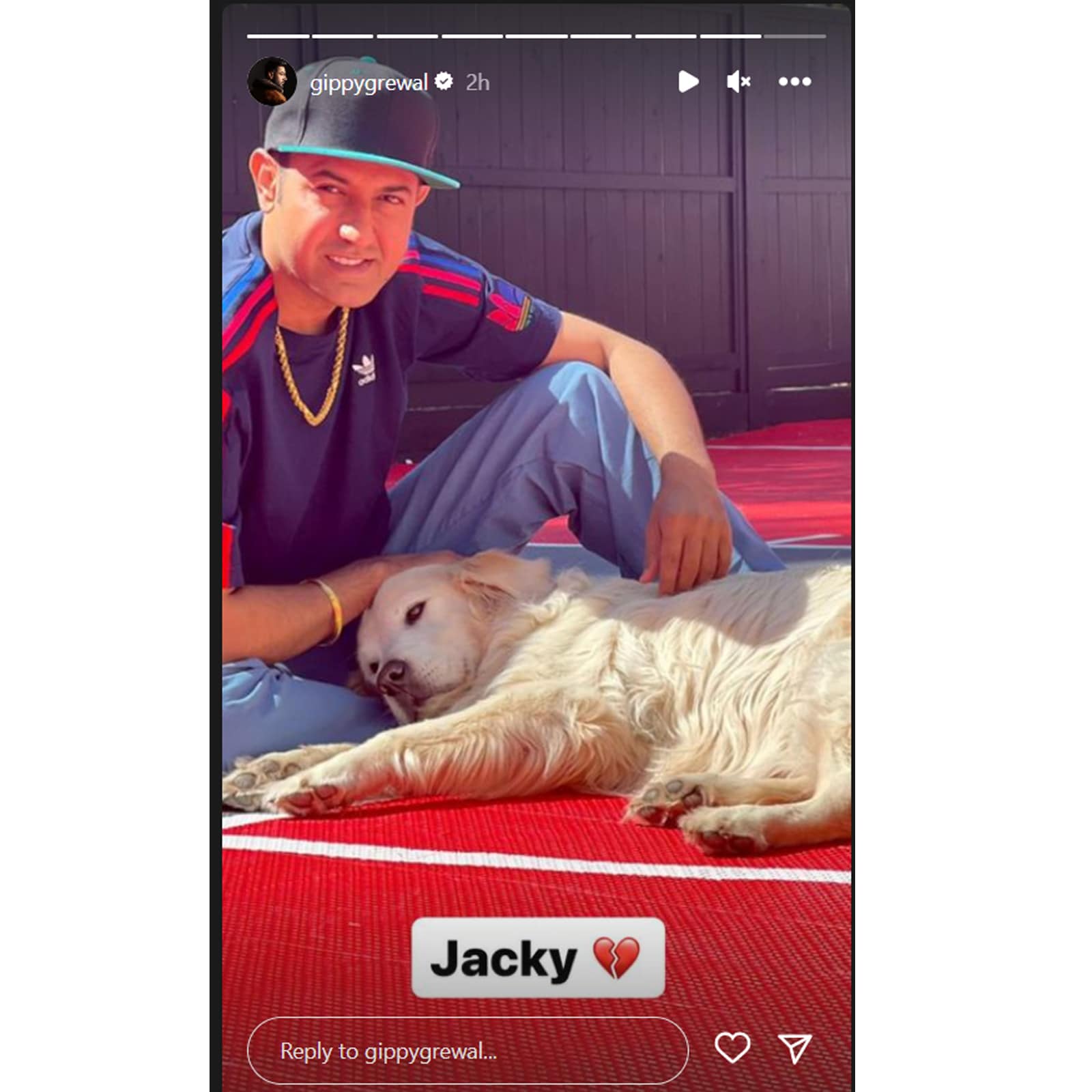gippy grewal dog jacky