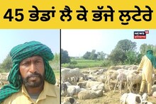 Hoshiarpur: 45 ਭੇਡਾਂ ਲੈ ਕੇ ਭੱਜੇ ਲੁਟੇਰੇ, ਗਰੀਬਾਂ ਦਾ ਹੋਇਆ ਭਾਰੀ ਨੁਕਸਾਨ