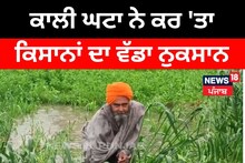 Nabha: ਕਾਲੀ ਘਟਾ ਨੇ ਕਰ 'ਤਾ ਕਿਸਾਨਾਂ ਦਾ ਵੱਡਾ ਨੁਕਸਾਨ