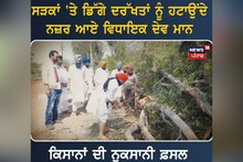 Nabha: ਸੜਕਾਂ 'ਤੇ ਡਿੱਗੇ ਦਰੱਖਤਾਂ ਨੂੰ ਹਟਾਉਂਦੇ ਨਜ਼ਰ ਆਏ ਵਿਧਾਇਕ Dev Maan
