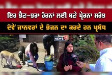 OMG ! ਪਠਾਨਕੋਟ ਦੇ ਇਨ੍ਹਾਂ ਭੈਣਾਂ-ਭਰਾਵਾਂ ਵੱਲੋਂ ਕੀਤੇ ਕੰਮਾਂ ਦੀ ਹਰ ਪਾਸੇ ਹੋ ਰਹੀ ਚਰਚਾ