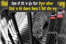 ਨੰਗਲ ITI ਚੋਂ ਤੇਂਦੂਏ ਦਾ ਕਹਿਰ ਖਤਮ,  ਤੇਂਦੂਆ ਕਿਵੇਂ ਕੀਤਾ ਕਾਬੂ ? ਦੇਖੋ ਤਸਵੀਰਾਂ