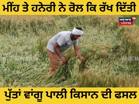 ਕਿਸਾਨ