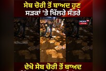 ਸੇਬ ਚੋਰੀ ਤੋਂ ਬਾਅਦ ਹੁਣ ਸੜਕਾਂ 'ਤੇ ਖਿਲਰੇ ਸੰਤਰੇ, ਕੀ ਸੰਤਰੇ ਵੀ ਲੋਕਾਂ ਨੇ ਕੀ ਕੀਤੇ ਚੋਰੀ ?
