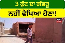 Abohar: 3 ਫੁੱਟ ਦਾ ਗੱਭਰੂ ਨਹੀਂ ਵੇਖਿਆ ਹੋਣਾ!