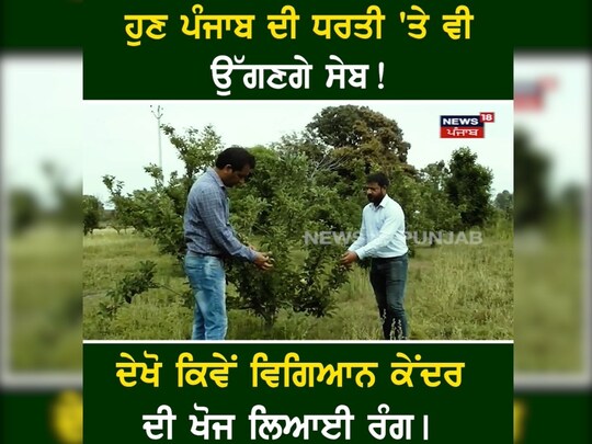 ਦਰਅਸਲ ਸੇਬ ਦੀ ਕਾਸ਼ਤ ਸਿਰਫ਼ ਉਨ੍ਹਾਂ ਇਲਾਕਿਆਂ ਵਿੱਚ ਹੀ ਸੰਭਵ ਹੈ ਜਿੱਥੇ ਬਰਫ਼ਬਾਰੀ ਹੁੰਦੀ ਹੈ, ਪਰ ਹੁਣ ਪੰਜਾਬ ਵਿੱਚ ਵੀ ਇਸ ਦੀ ਕਾਸ਼ਤ ਸੰਭਵ ਹੈ। ਉਨ੍ਹਾਂ ਦੱਸਿਆ ਕਿ ਇਸ ਸਬੰਧੀ ਕ੍ਰਿਸ਼ੀ ਵਿਗਿਆਨ ਕੇਂਦਰ ਵੱਲੋਂ ਇੱਕ ਤਜਰਬਾ ਕੀਤਾ ਗਿਆ ਸੀ ਜੋ ਸਫਲ ਰਿਹਾ ਹੈ ਅਤੇ ਹੁਣ ਕਿਸਾਨਾਂ ਨੂੰ ਇਸ ਸਬੰਧੀ ਜਾਗਰੂਕ ਕੀਤਾ ਜਾਵੇਗਾ ਤਾਂ ਜੋ ਕਿਸਾਨ ਇਸ ਖੇਤੀ ਦਾ ਲਾਹਾ ਲੈ ਕੇ ਆਪਣਾ ਜੀਵਨ ਪੱਧਰ ਉੱਚਾ ਚੁੱਕ ਸਕਣ।