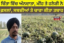 ਚਿੰਤਾ ਵਿੱਚ ਅੰਨਦਾਤਾ, ਮੀਂਹ ਤੇ ਹਨੇਰੀ ਨੇ ਫ਼ਸਲਾਂ, ਸਬਜ਼ੀਆਂ ਤੇ ਚਾਰਾ ਕੀਤਾ ਤਬਾਹ
