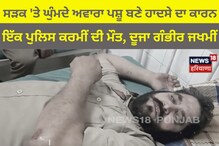 ਸੜਕ 'ਤੇ ਘੁੰਮਦੇ ਅਵਾਰਾ ਪਸ਼ੂ ਬਣੇ ਹਾਦਸੇ ਦਾ ਕਾਰਨ, ਇੱਕ ਪੁਲਿਸ ਕਰਮੀਂ ਦੀ ਮੌਤ, ਦੂਜਾ ਗ