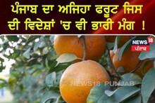 ਪੰਜਾਬ ਦਾ ਅਜਿਹਾ ਫ਼ਲ ਜਿਸ ਦੀ ਵਿਦੇਸ਼ਾਂ 'ਚ ਵੀ ਭਾਰੀ ਮੰਗ