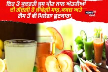 ਇਹ 3 ਕੁਦਰਤੀ ਜੂਸ ਪੀਣ ਨਾਲ ਅੰਤੜੀਆਂ ਦੀ ਗੰਦਗੀ ਹੋ ਜਾਵੇਗੀ ਸਾਫ਼, ਕਬਜ਼ ਅਤੇ ਗੈਸ ਤੋ