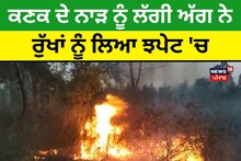 Hoshiarpur: ਕਣਕ ਦੇ ਨਾੜ ਨੂੰ ਲੱਗੀ ਅੱਗ ਨੇ ਰੁੱਖਾਂ ਨੂੰ ਲਿਆ ਝਪੇਟ 'ਚ