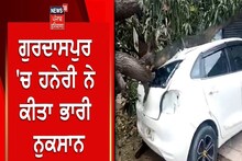 Gurdaspur News: ਗੁਰਦਾਸਪੁਰ 'ਚ ਹਨੇਰੀ ਨੇ ਕੀਤਾ ਭਾਰੀ ਨੁਕਸਾਨ