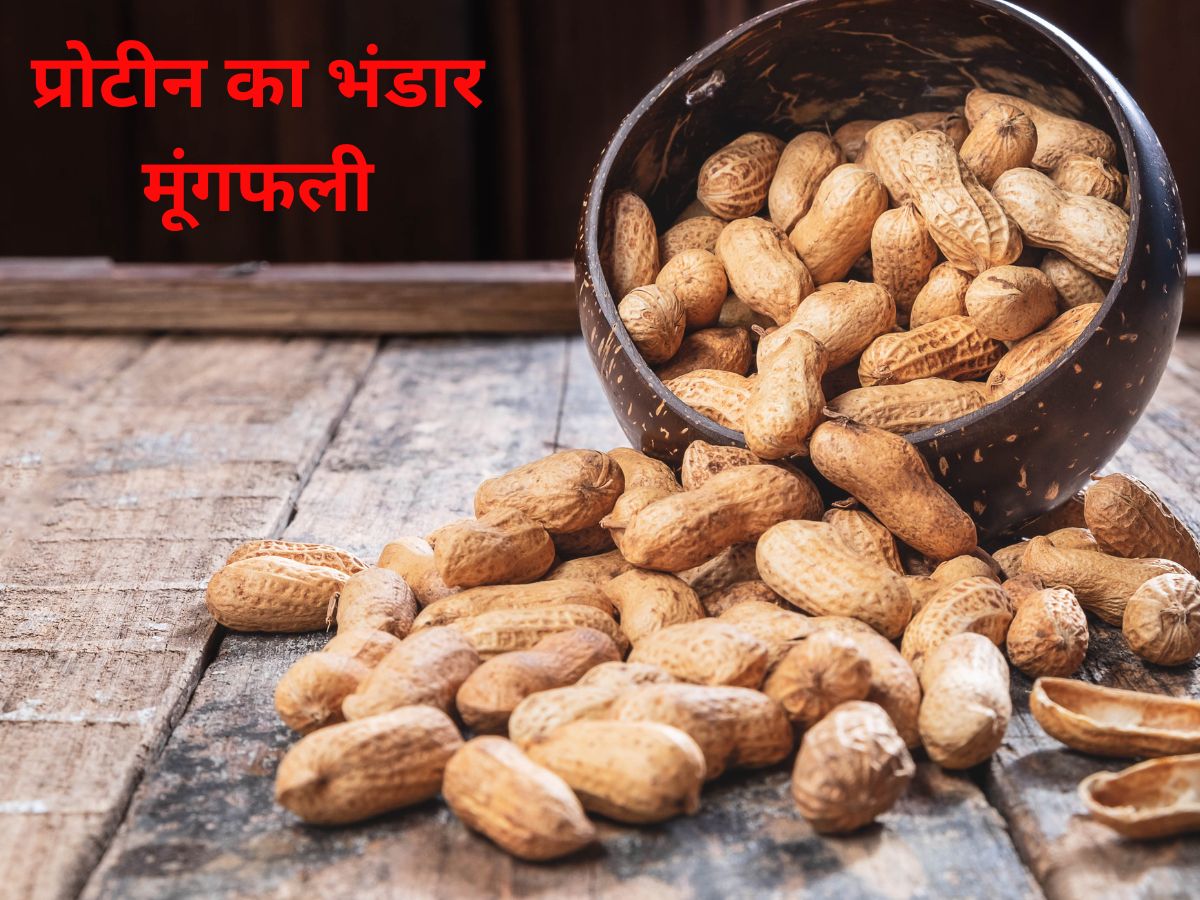 Benefits of Peanuts ਸਰਦੀਆਂ ਵਿੱਚ ਮੂੰਗਫਲੀ ਦਾ ਕਰੋ ਸੇਵਨ, ਨਹੀਂ ਵਧੇਗਾ ਭਾਰ