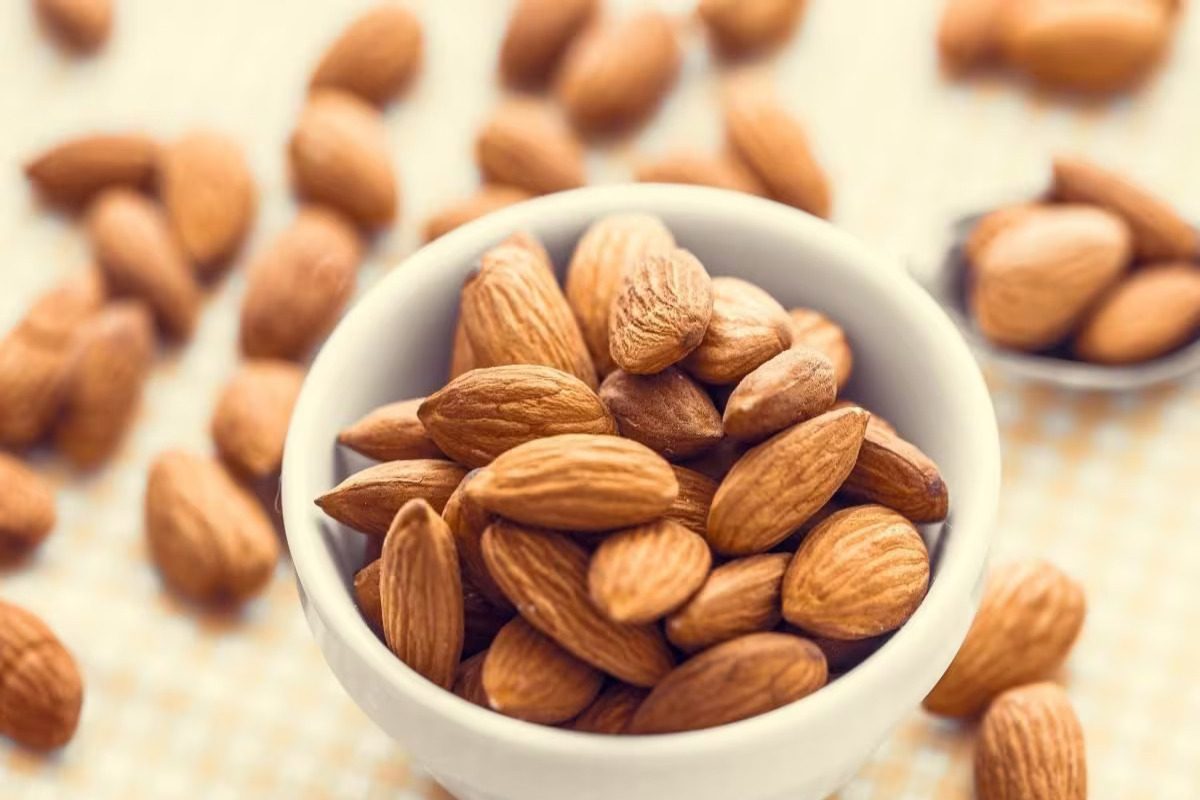 गर्मियों में बादाम खाना सही है या गलत, जानें हेल्थ एक्सपर्ट्स की राय- न्यूज18 पंजाबी गर्मियों में बादाम खाना सही है या गलत, जानें हेल्थ एक्सपर्ट्स की राय- न्यूज18 पंजाबी