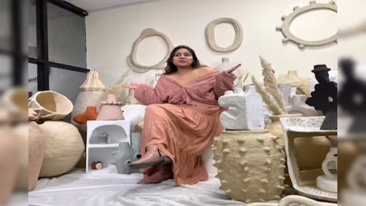 ਰੱਦੀ ਸਮਝ ਜਿਸ ਨੂੰ ਲੋਕਾਂ ਨੇ ਕੂੜੇ 'ਚ ਸੁੱਟਿਆ,ਅਪੂਰਵਾ ਨੇ ਉਸ ਤੋਂ ਕਮਾਏ ਕਰੋੜਾਂ