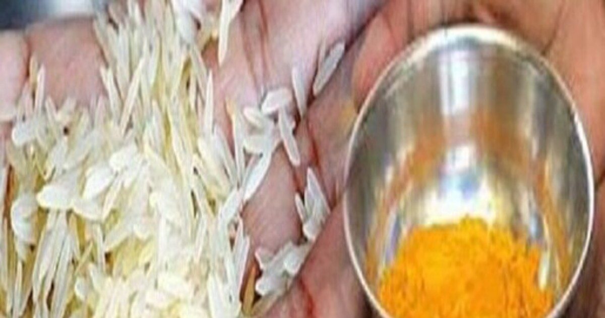 Akshata Rice ਪੂਜਾ ਤੋਂ ਲੈ ਕੇ ਤਿਲਕ ਲਗਾਉਣ ਵੇਲੇ ਕਿਉਂ ਵਰਤੇ ਜਾਂਦੇ ਹਨ ਸਾਬਤ ਚਿੱਟੇ ਚੌਲ? ਜਾਣੋ ...