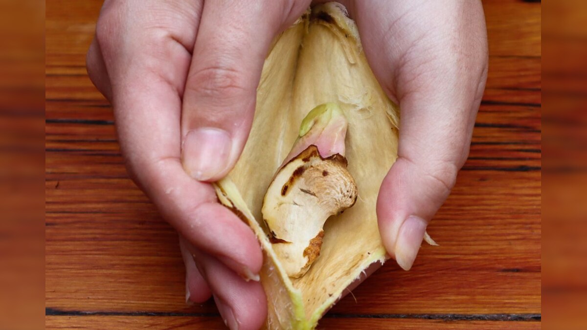 health not only mangoes seeds are also medicine effective in treating diarrhea will also bring