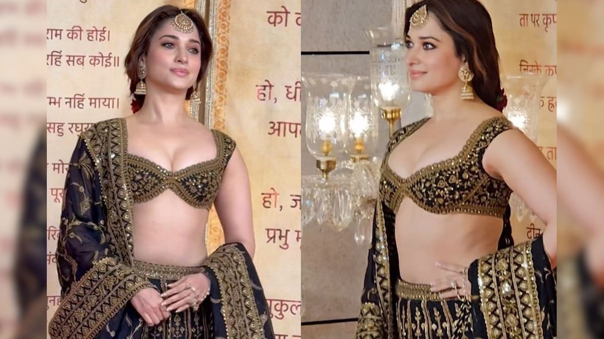अनंत अंबानी के रिसेप्शन में पहुंचीं तमन्ना भाटिया, कातिलाना लुक ने खींचा फैंस का ध्यान- News18 पंजाबी