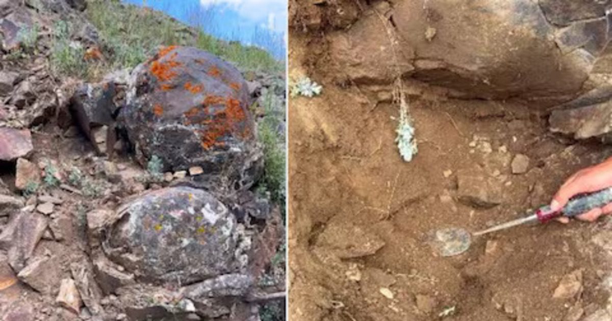 Digging Rough Stone ਪੱਥਰਾਂ 'ਚ ਖੁਦਾਈ ਕਰ ਰਿਹਾ ਸੀ ਸ਼ਖਸ, ਮਿੱਟੀ ਵਿੱਚ ਦੱਬੀ ਮਿਲੀ ਅਜਿਹੀ ਚੀਜ਼, ਦੇਖ ...