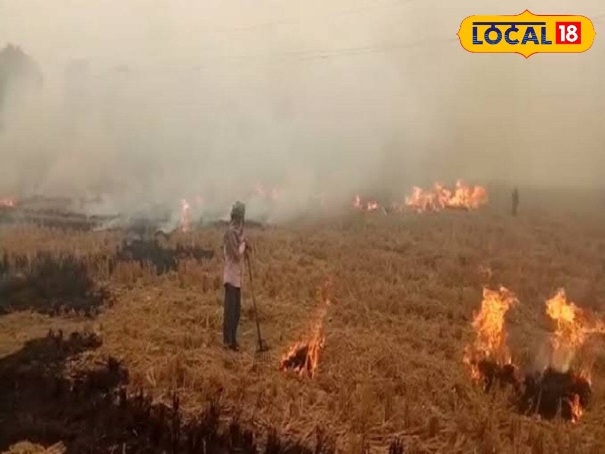 News18 Punjabi