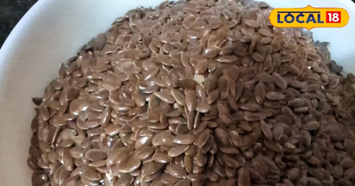 Adsi Seeds Alsi Seeds Benefits: ਪ੍ਰੋਟੀਨ ਨਾਲ ਭਰਪੂਰ ਹੁੰਦੈ ਇਹ ਬੀਜ, ਦਿਲ ਨੂੰ ਬਣਾਉਂਦੈ ...