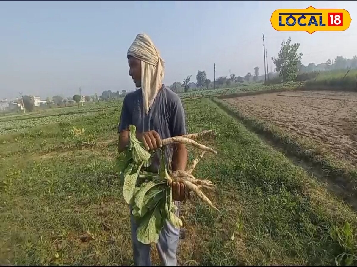 News18 Punjabi
