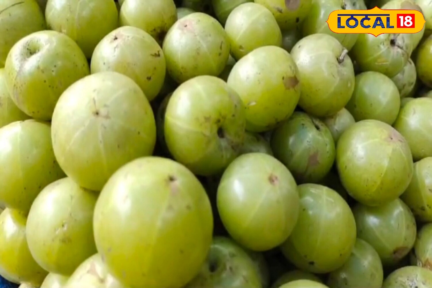 News18 Punjabi