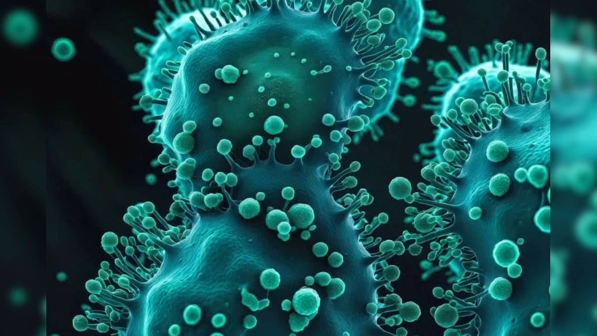 After Corona, now the fury of the mysterious disease called ‘Dinga Dinga’, many countries are on high alert