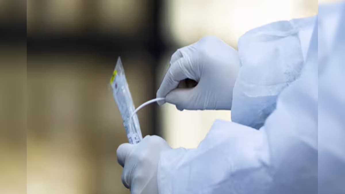 New virus found in China, know how dangerous