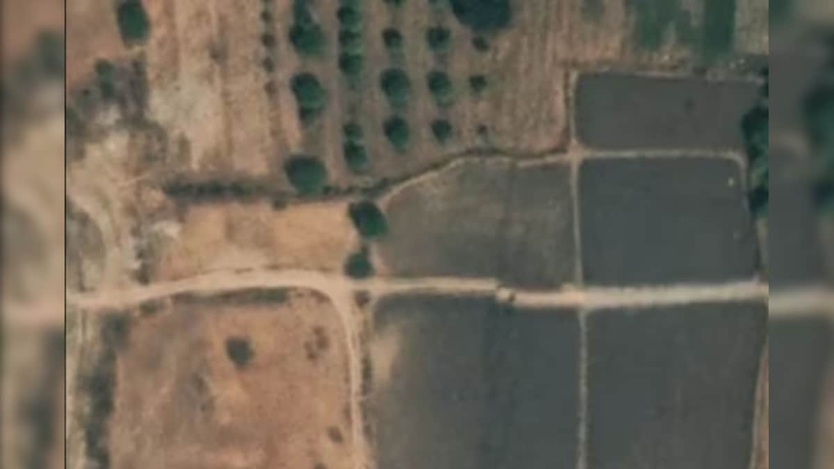 The earthquake caused 500 km long trees, the largest disaster! – News-Patiala English