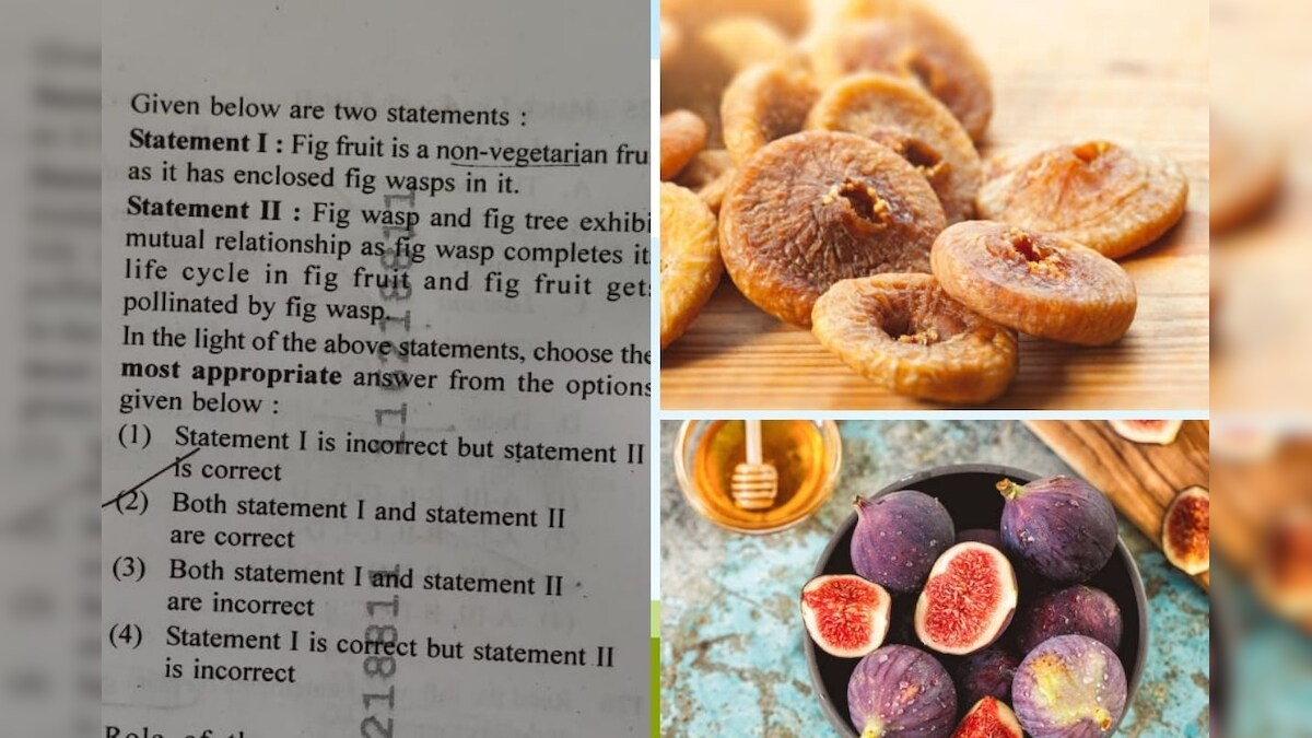 Is fig Veg or Non-Veg? Now this question has been asked in NEET UG as well, do you know the answer to it? – News-Patiala ਪੰਜਾਬੀ
