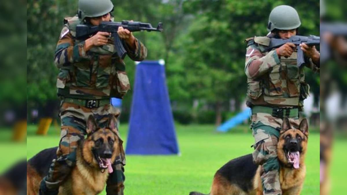 The Indian Army will recruit issued, Rs 1 lakh 20 thousand Salary – News-Patiala English
