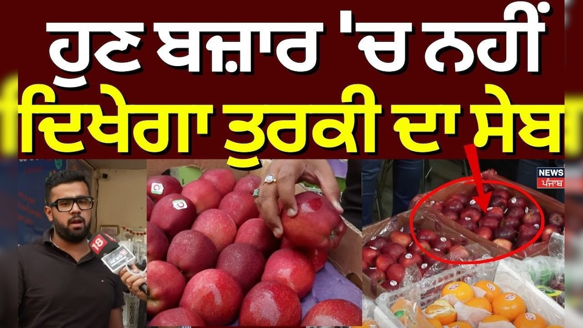 India Boycott Turkey | Now the Turkish apple will not appear in the market India vs pakistan