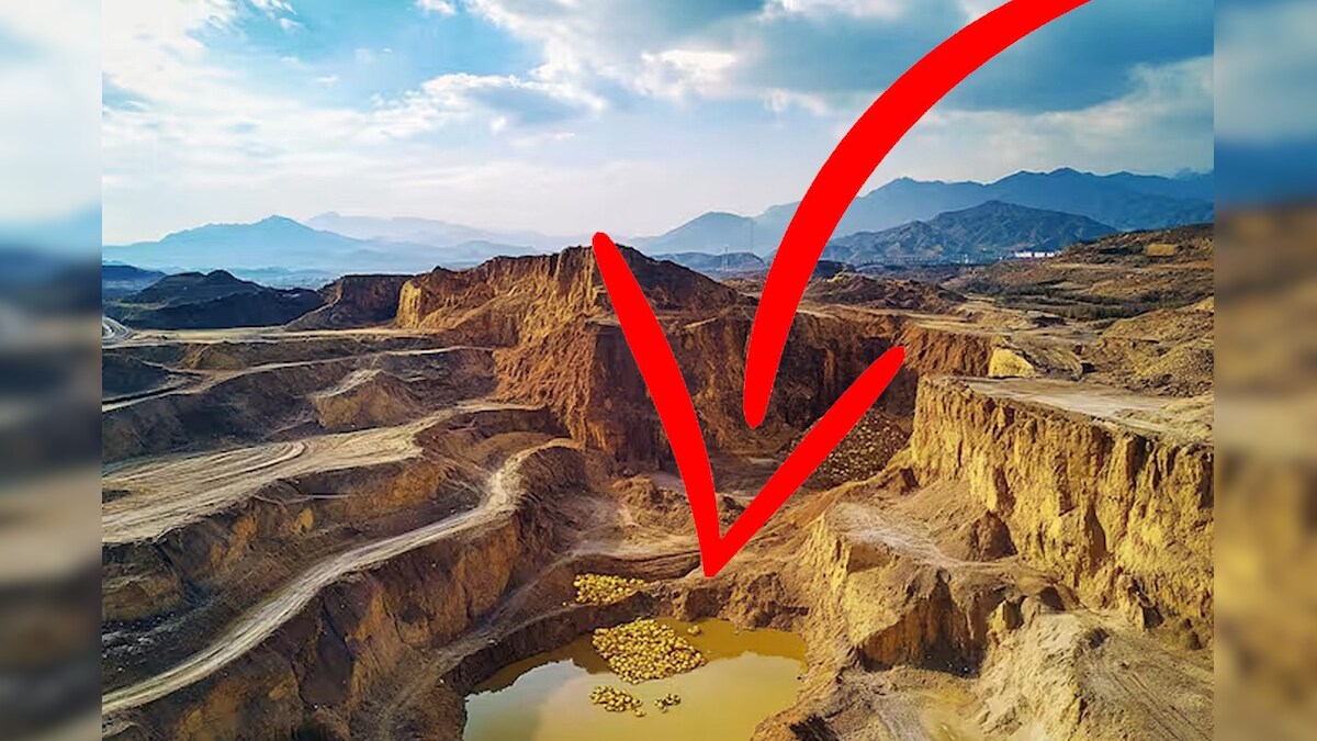 Sudden Malno-Mallo-Mall, India’s neighboring country, only one Khan, 1,000,000 kg of gold!
