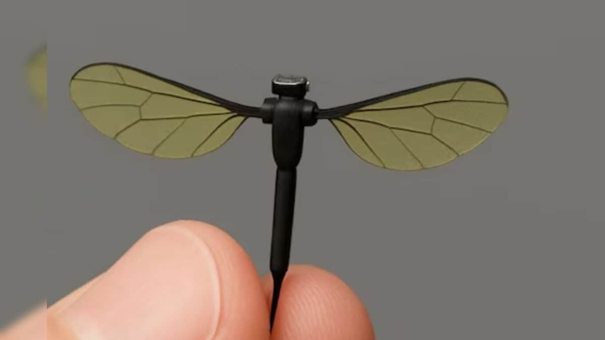It does not even see the dangerous drone, visible to mosquitoes See video – News-Patiala English