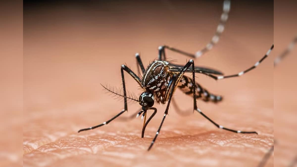 No in this country is the scientist for a single mosquito, years of the years …
