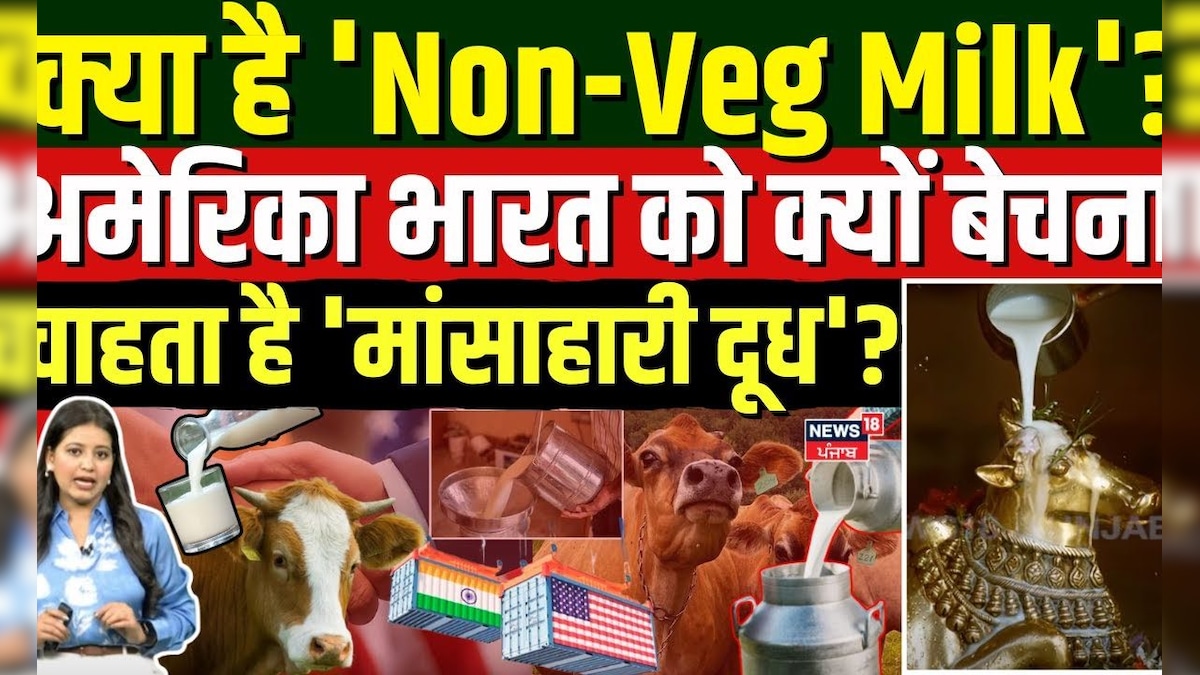 What is ‘Non-Veg Milk’? Why does America want to sell India ‘non -vegetarian milk’? Hindi news